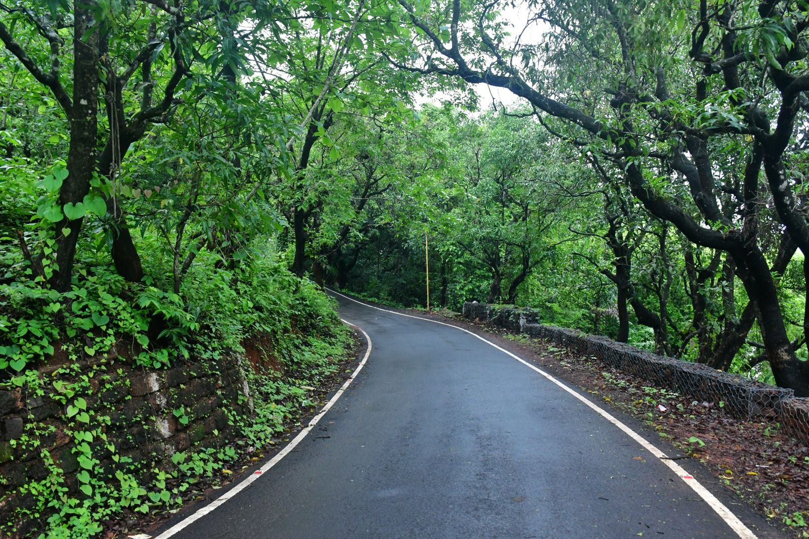 Scenic trail by Thiba Palace